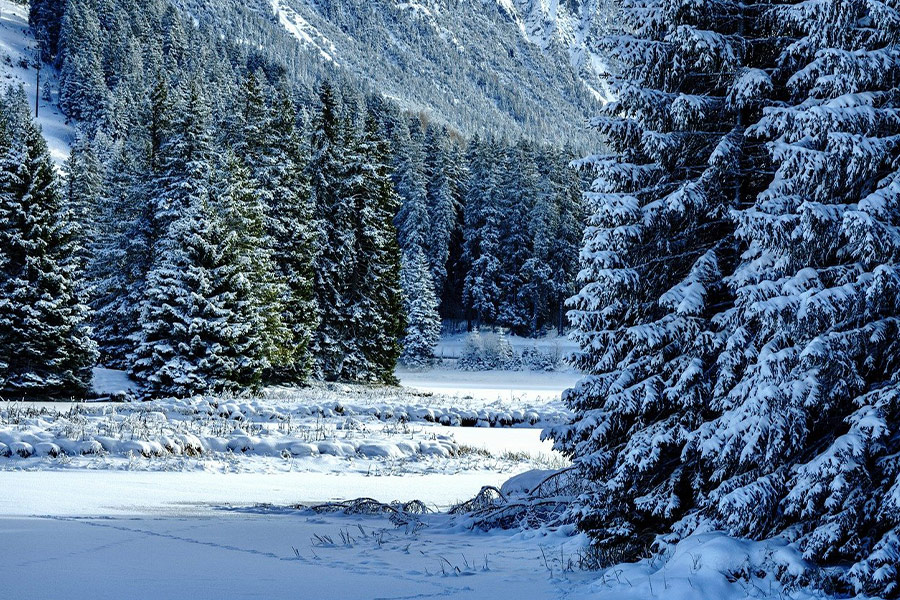 Natura paesaggio inverno 1