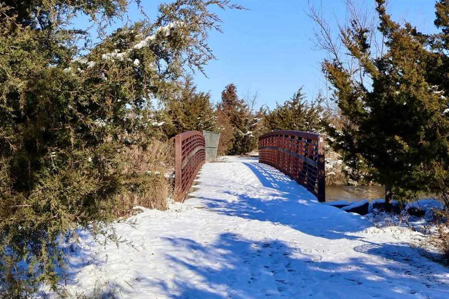 Paesaggio innevato nel parco dell'Ontario