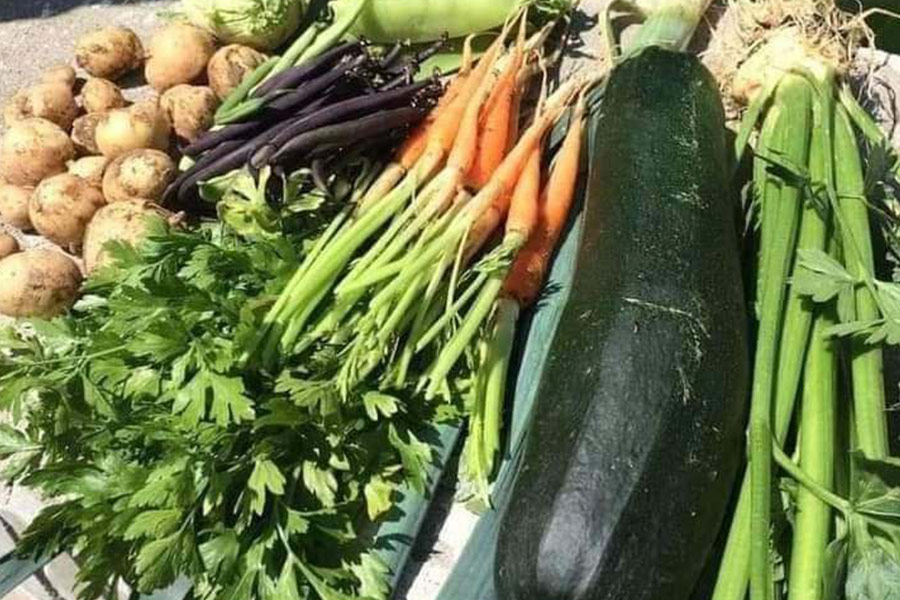 Verdure rustiche da fattoria con radici