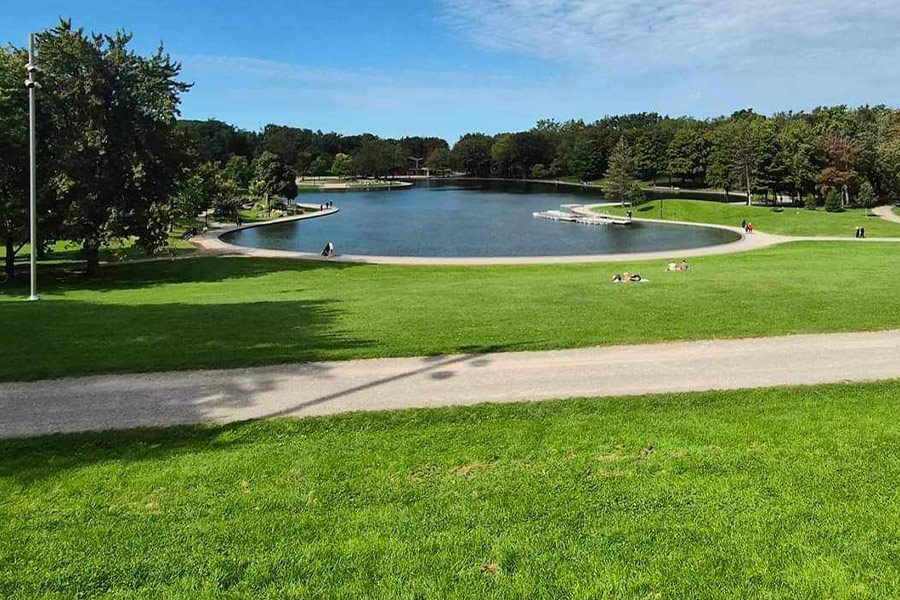 Paesaggio del parco del Mont Royal