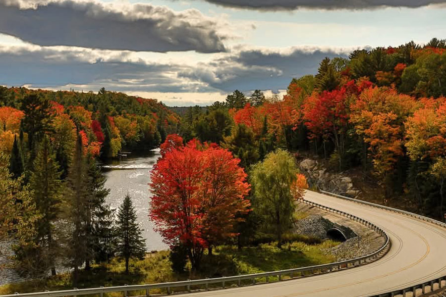 Strada autostradale e alberi dai colori autunnali