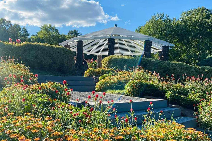 Bellissimo giardino curato e pieno di fiori