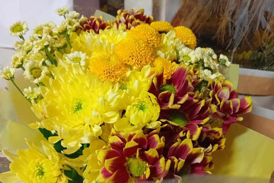 Chrysanthemen Blumen und andere
