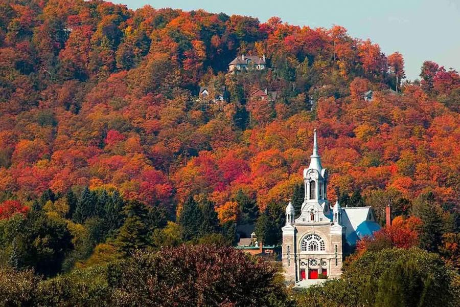 Paesaggio autunnale colorato