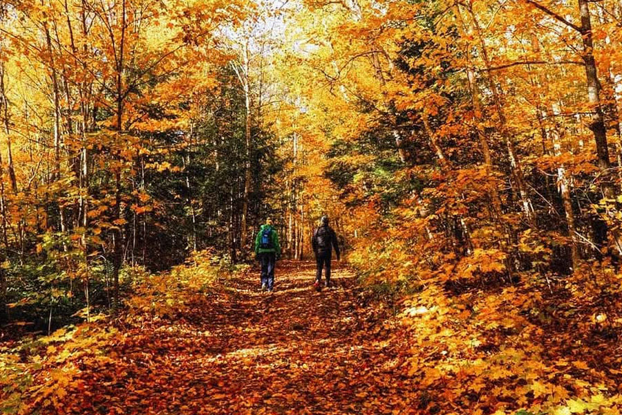 Strada pedonale e colori autunnali