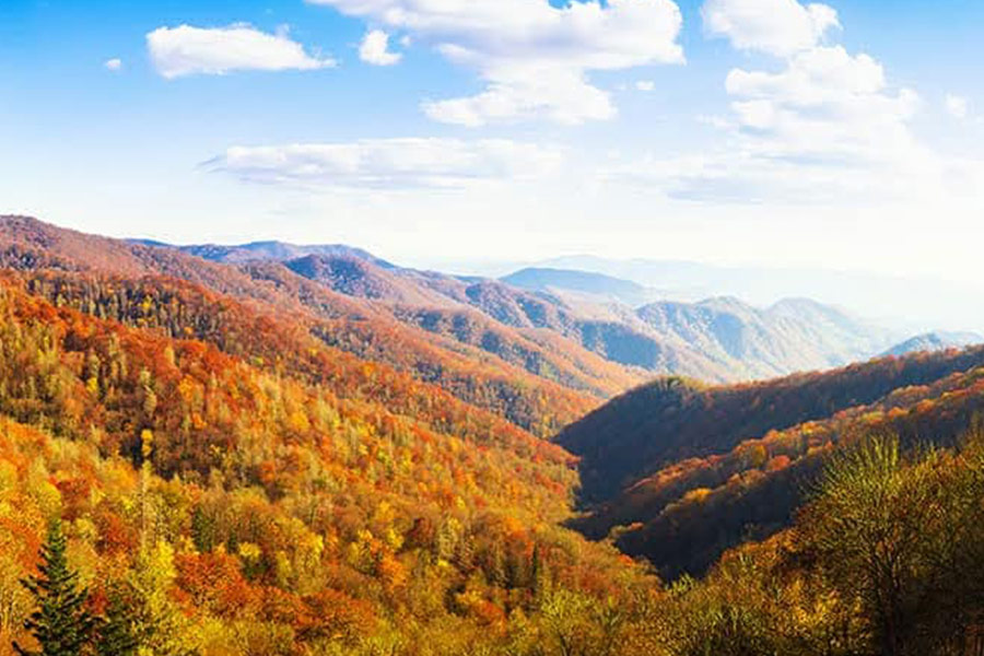Autunno colorato in montagna