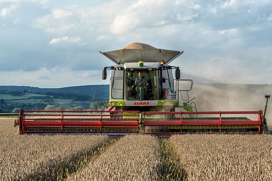Campo di grano con mietitrebbia