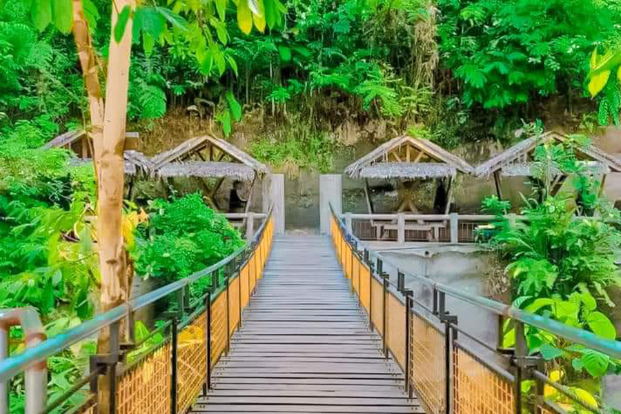 Ponte sospeso natura