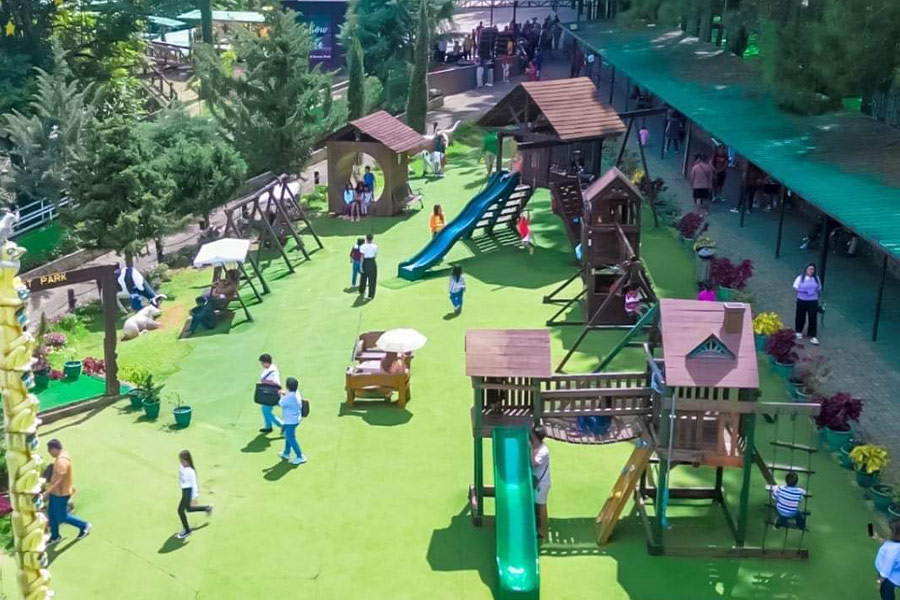 Parco forestale di Dahilayan Bukidnon Filippine