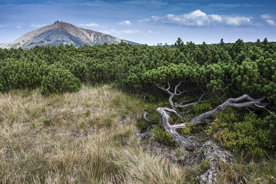 Nationalpark Riesengebirge Polen