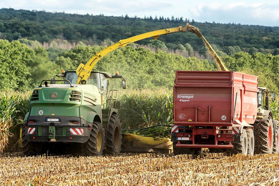 Agricoltura della raccolta del mais