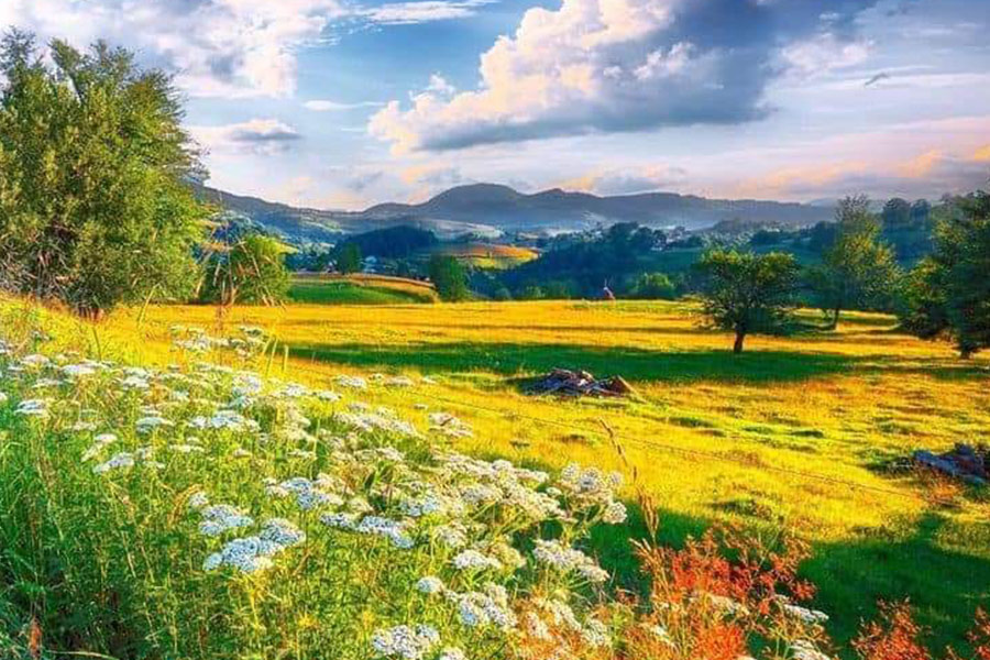 Bellissimo paesaggio naturale estivo