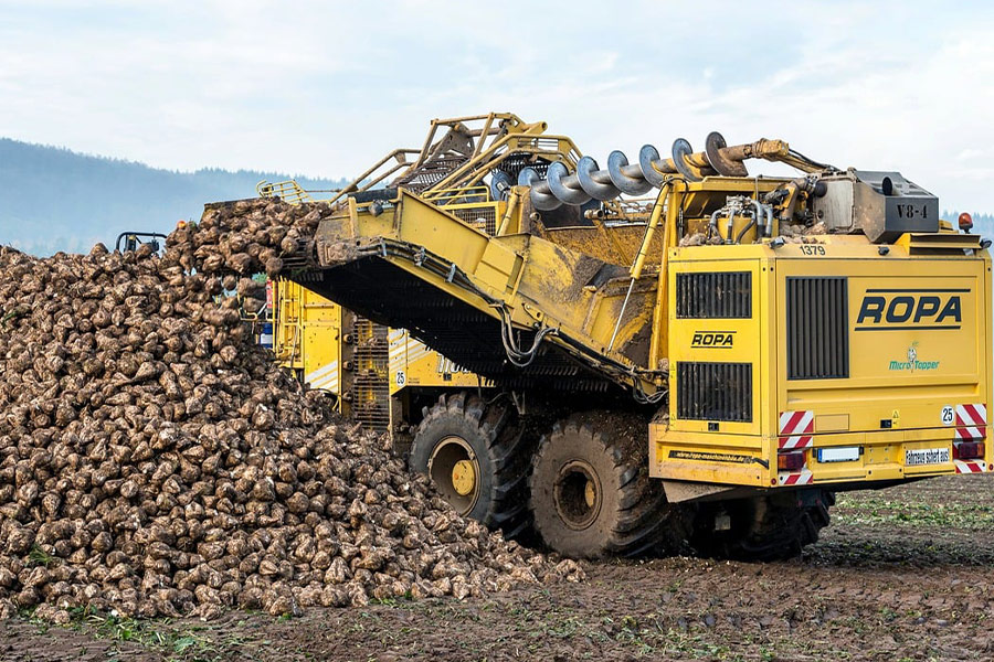 Veicolo per la produzione di barbabietola da zucchero in un'azienda agricola