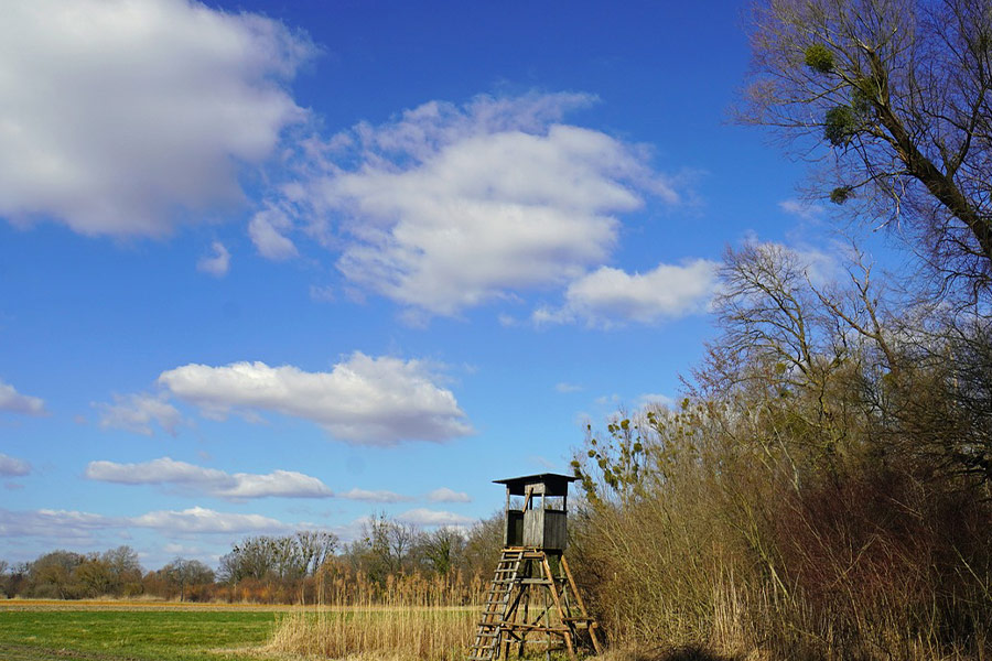 Natura del paesaggio 2