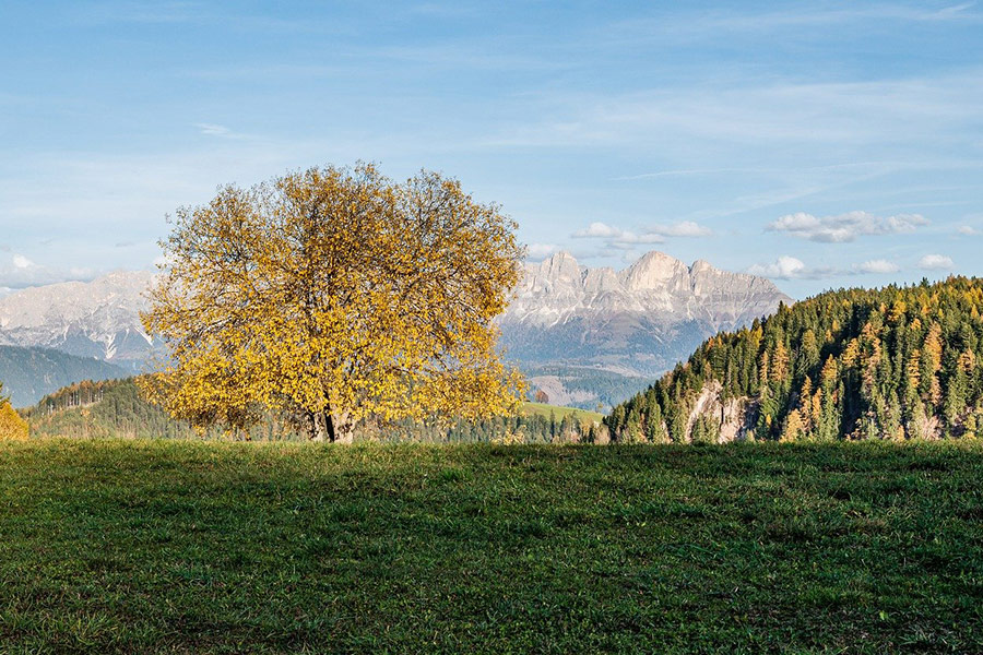 Montagne di colline di prati