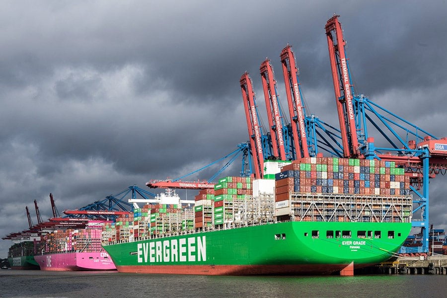 Navi portacontainer sempreverdi