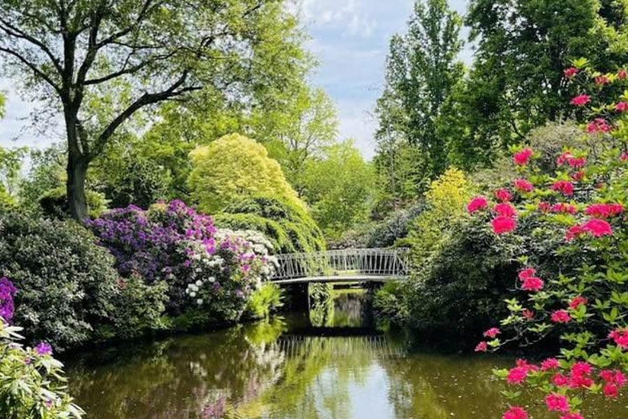Jardín botánico histórico en Róterdam, Países Bajos.