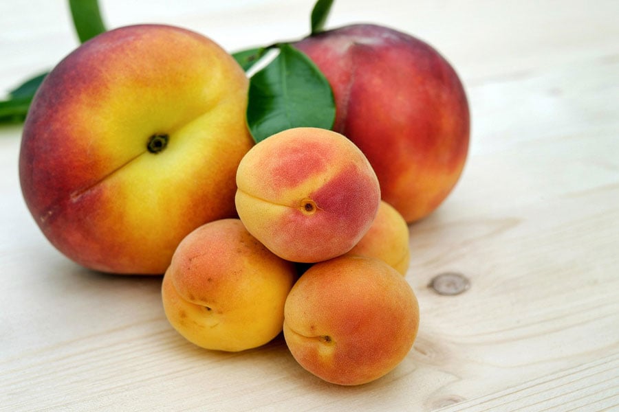 Fruta que suele estar disponible durante el verano.