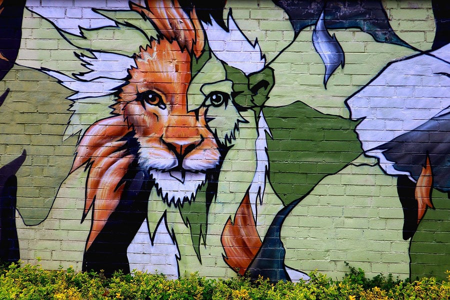 Mural de leones con la mitad de la cabeza representada