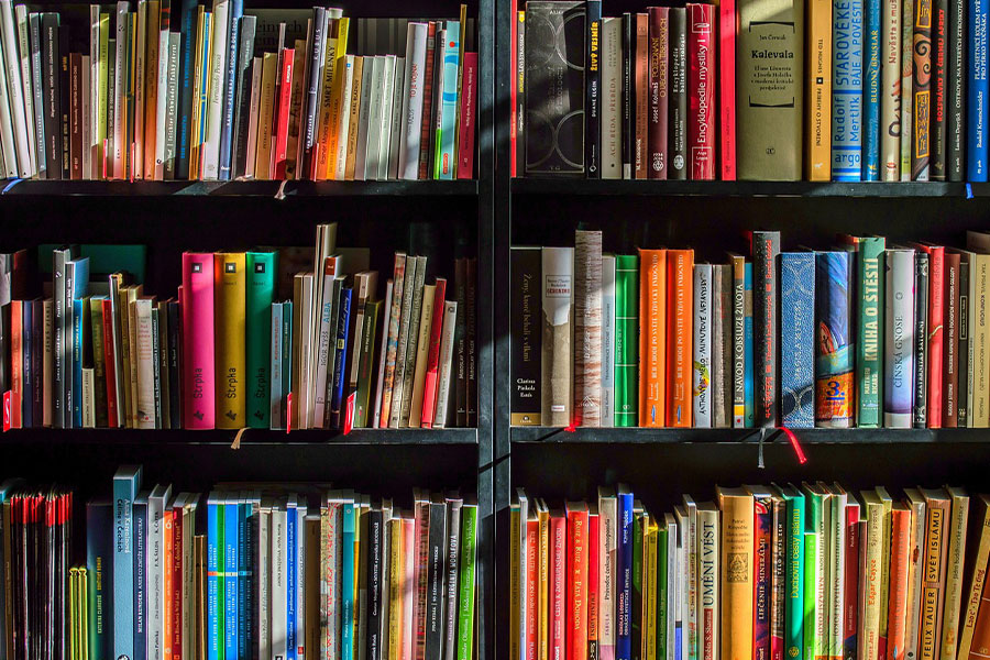 Estantería llena de libros