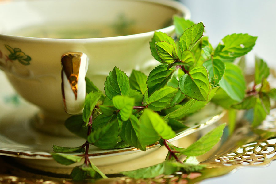 Una taza de té de menta fresca