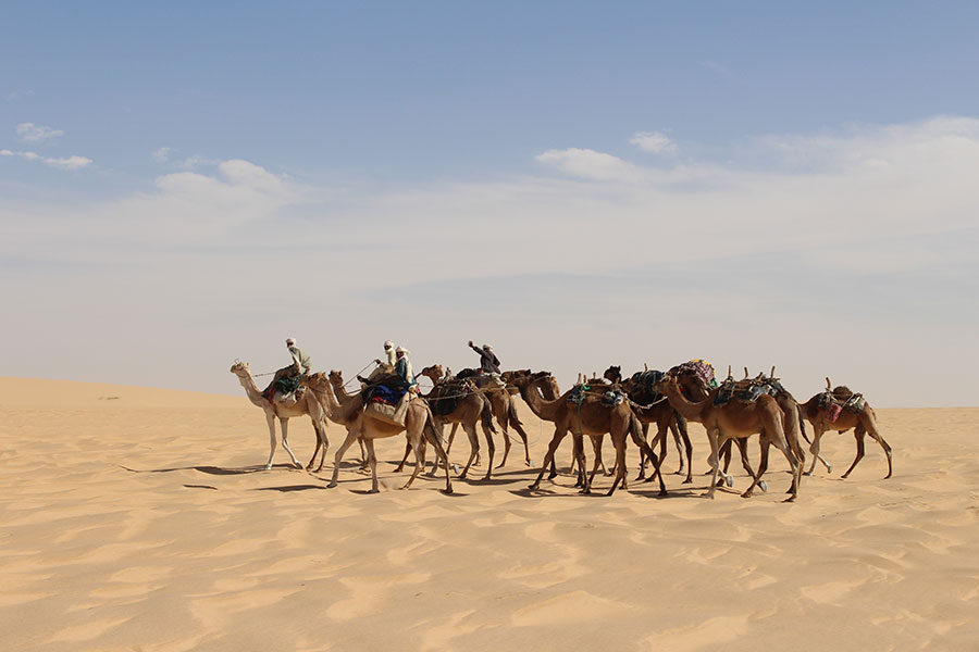 Una caravana de camellos que se desplaza por un vasto desierto.