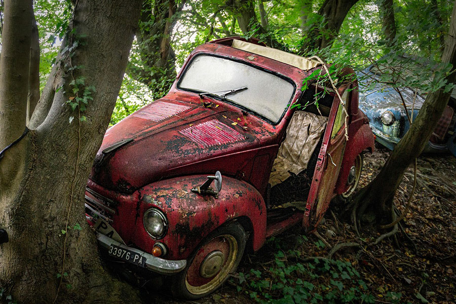 Coche clásico oxidado y abandonado, cubierto de vegetación.