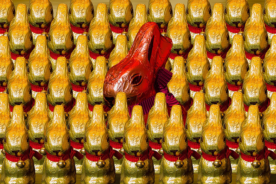 Colección de conejitos de chocolate dorados Lindt