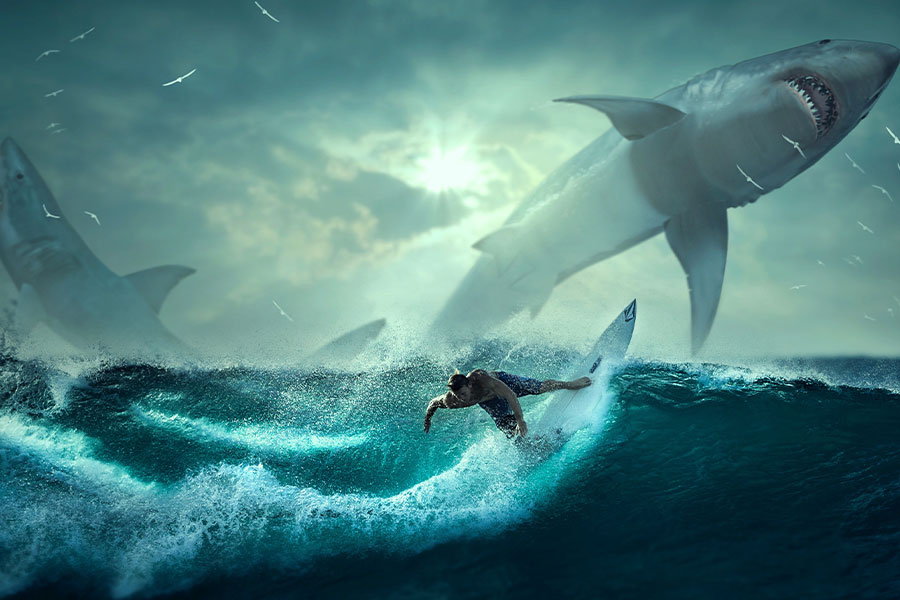 Imagen fantástica de tiburones surfistas