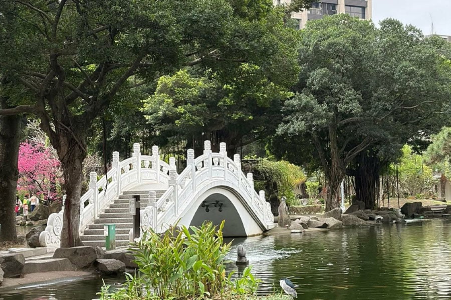 Un pequeño puente blanco en un jardín tranquilo.