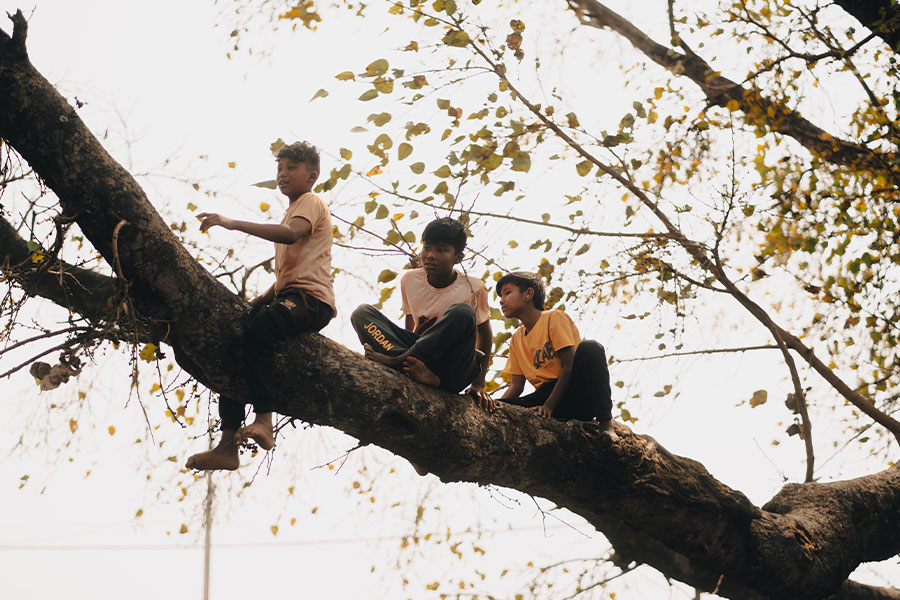 Tres niños se relajan en un gran plátano.