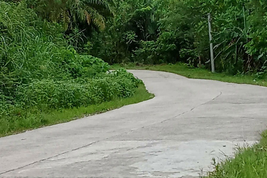 Paisaje de carretera de hormigón sinuosa