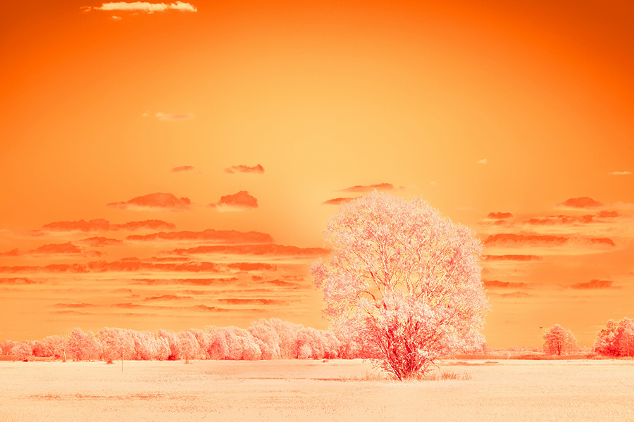 Paisaje surrealista