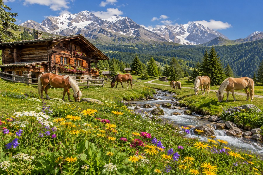 Pradera alpina con caballos y chalet