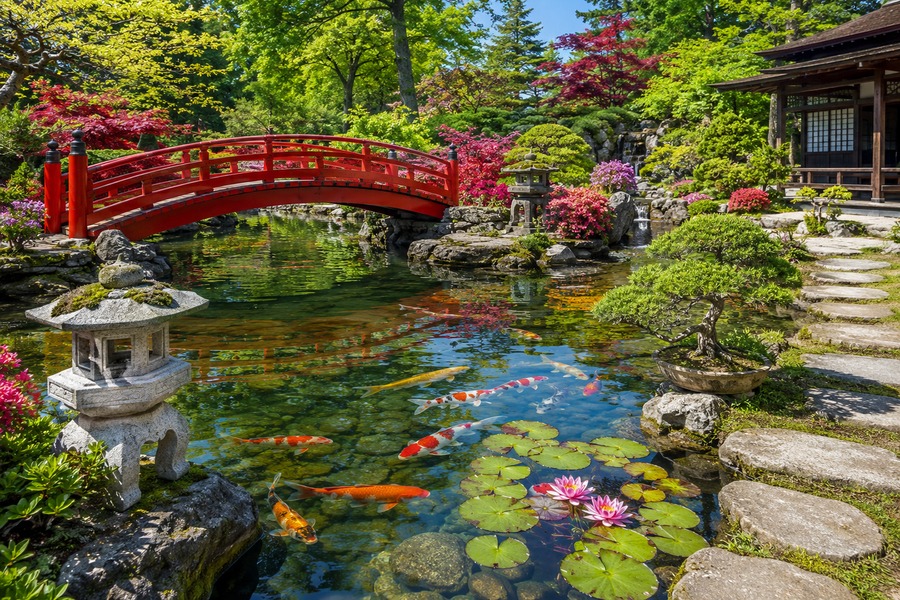 Jardín japonés con puente rojo y carpas koi.