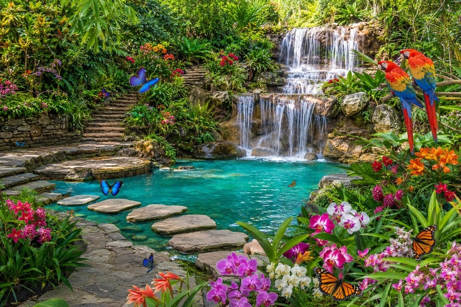 Jardín tropical con cascada y loros