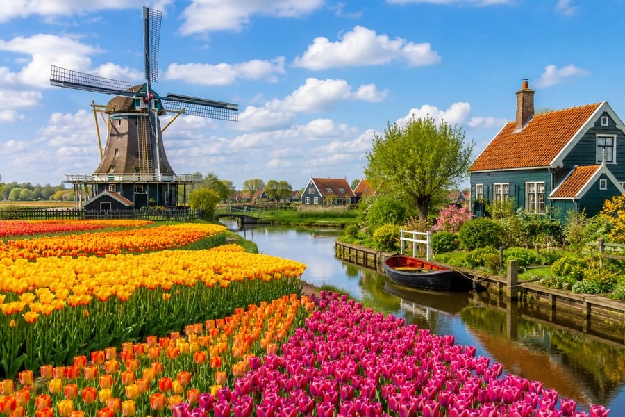 Molino de viento holandés con tulipanes y canal