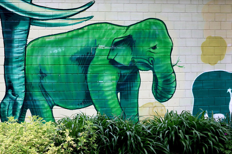 Mural de un elefante verde en una pared