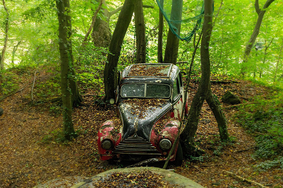 Muestra un coche antiguo abandonado que la naturaleza recupera lentamente.