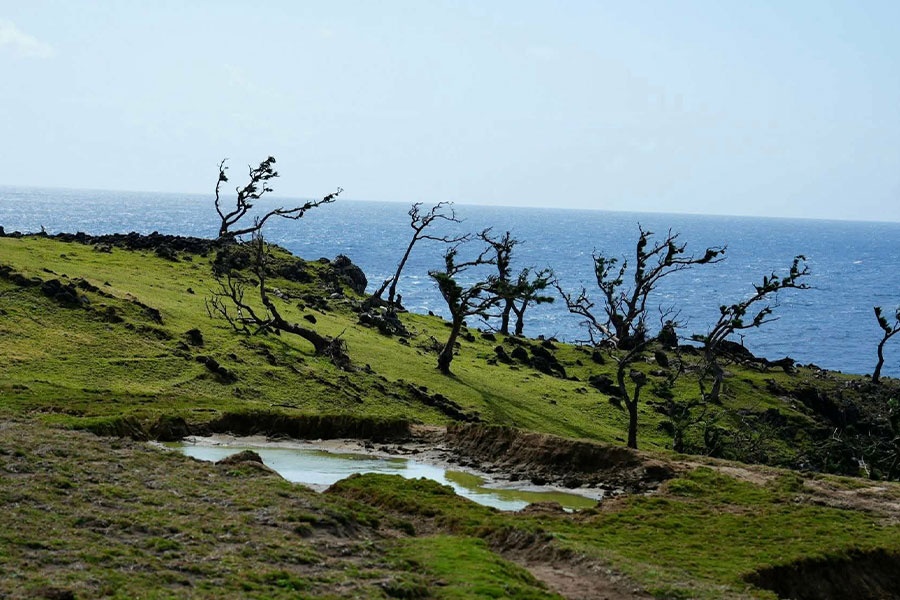 Costa de las Azores