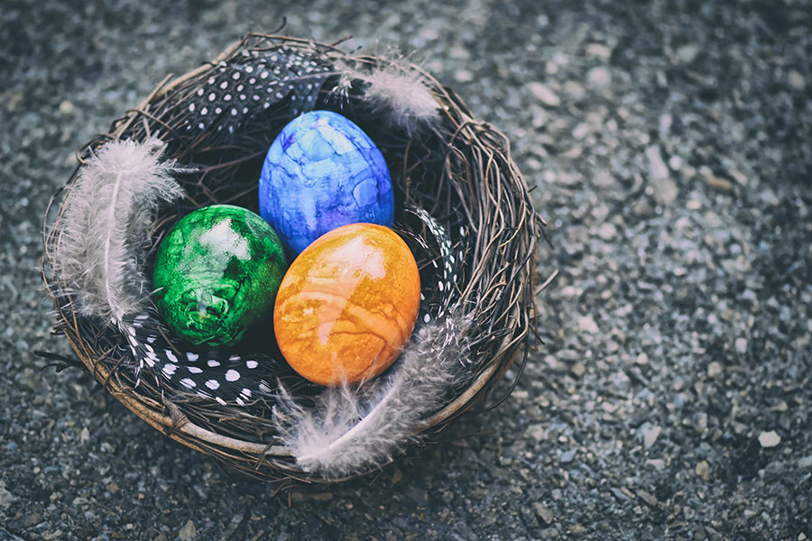Una hermosa foto de huevos de Pascua