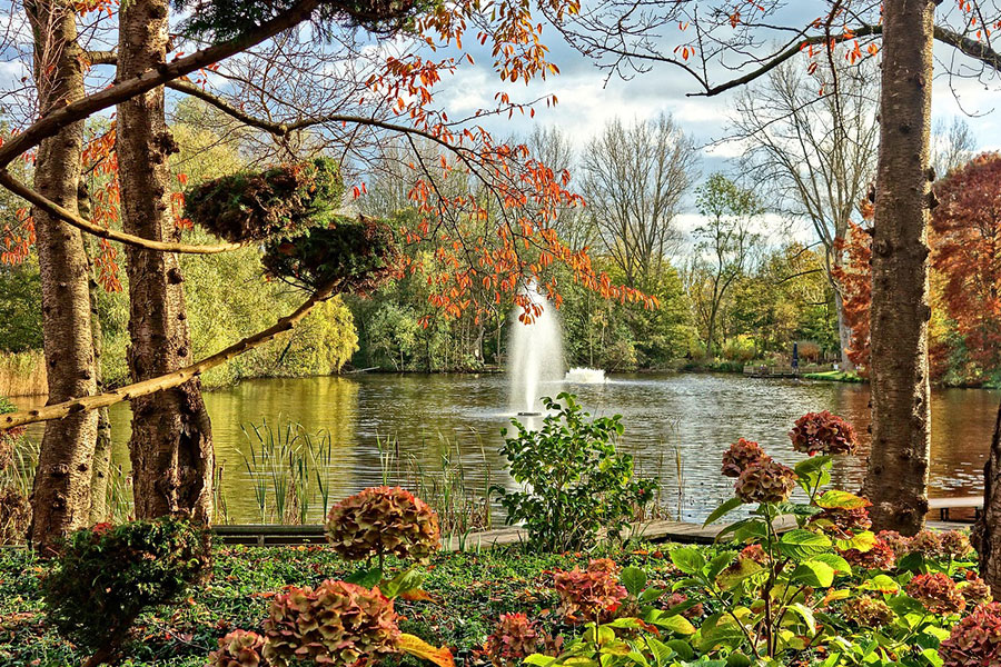 Parque natural de la fuente del estanque