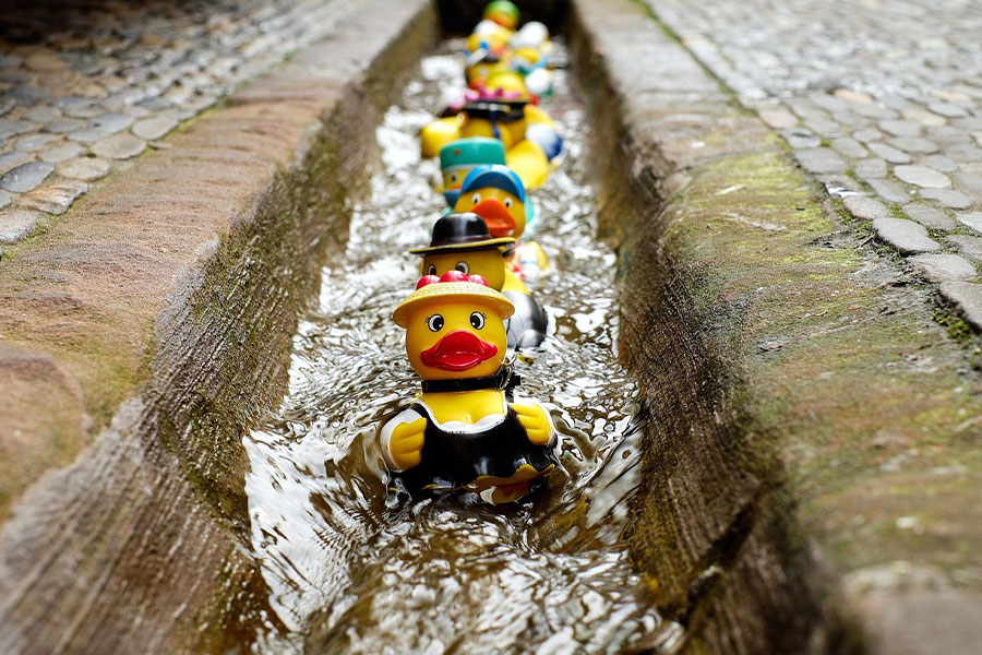 Fila de patitos de goma vestidos