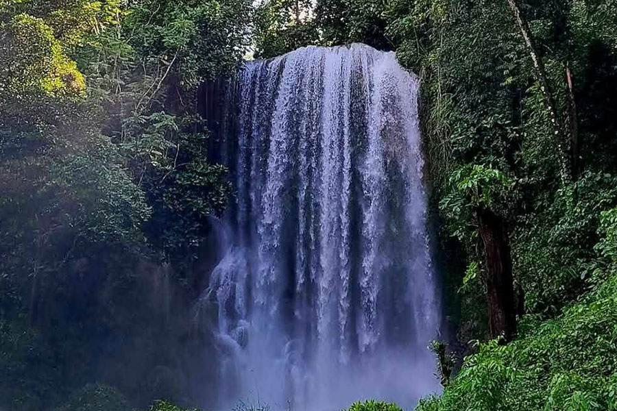 Kawasan cae en Balilihan Bohol
