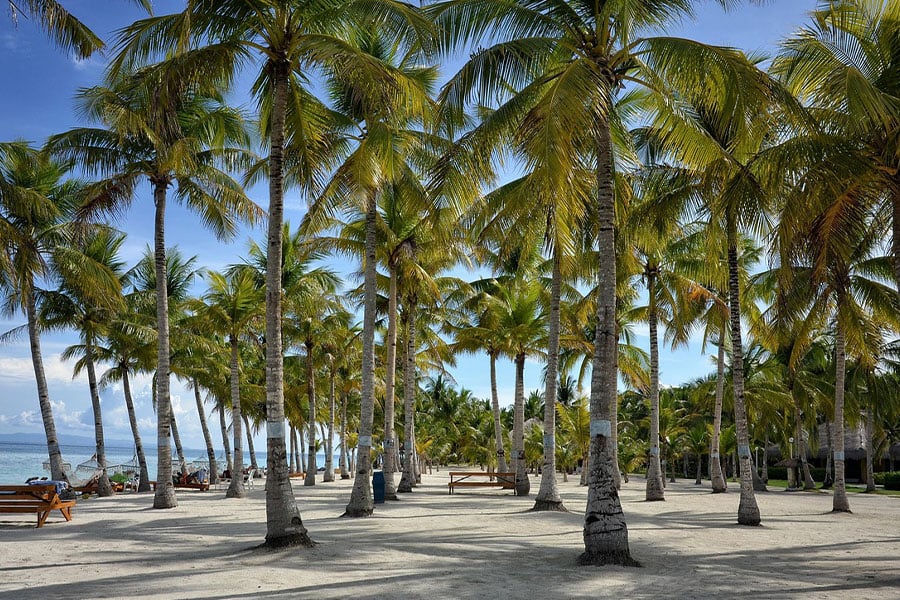Complejo turístico natural de Bohol