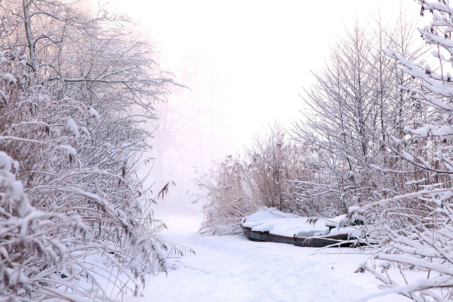 Entorno natural todo blanco invierno