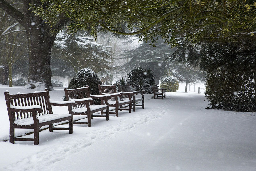 Paisaje del parque durante el invierno