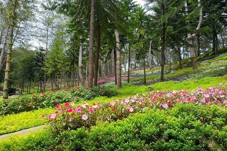 Somewhere in Davao Philippines glory mountain