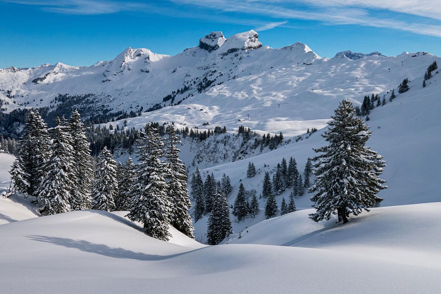 Nature landscape winter Hochybrig pre alps