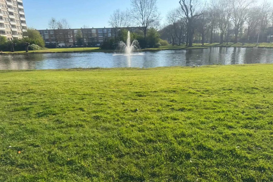 Beau paysage des Pays-Bas